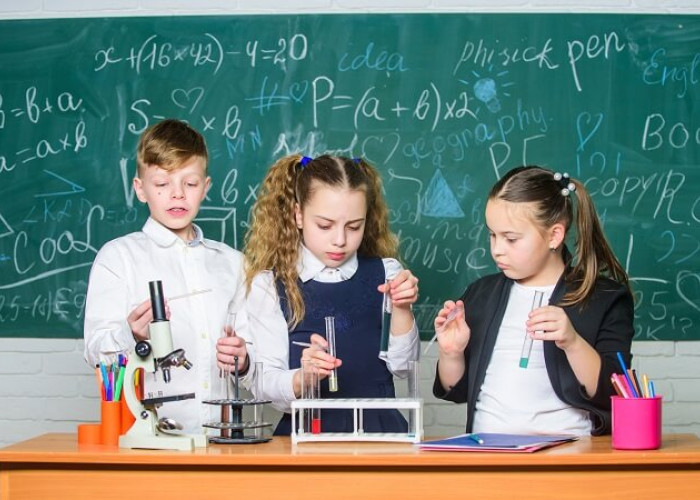 STEM Eğitimi Nedir?