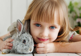 Aileler İçin Doğru Evcil Hayvan Seçimi Rehberi