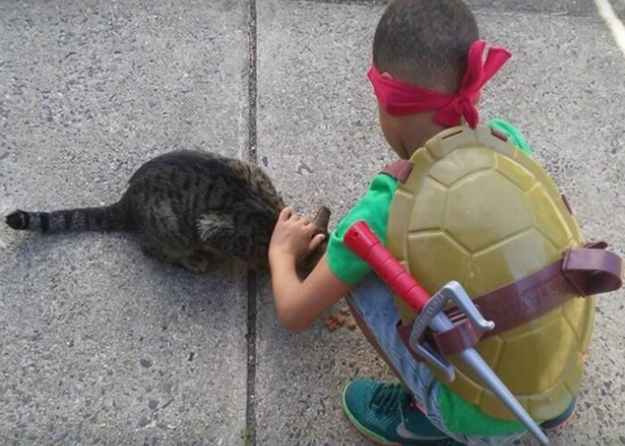 Kedi Besleyen Çocuk