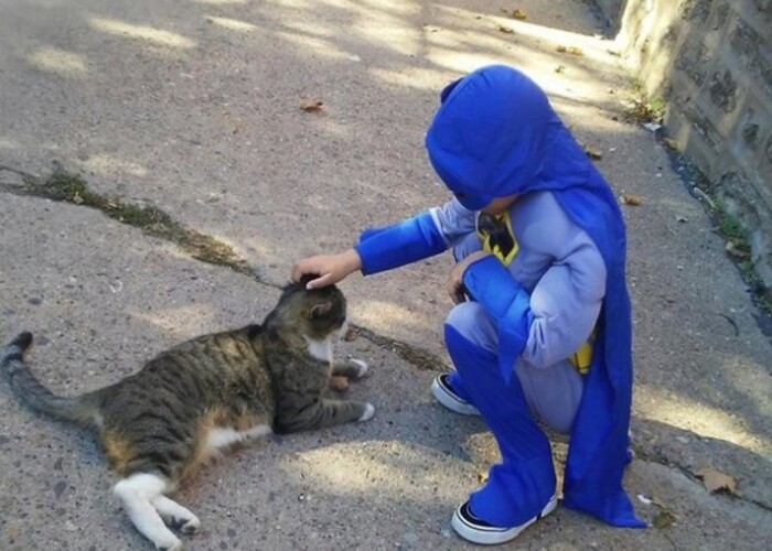 Kedilere Bakan Çocuk