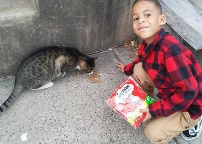 Süper Kahraman Catman