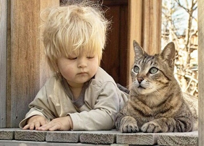 Kedi ve Çocuk