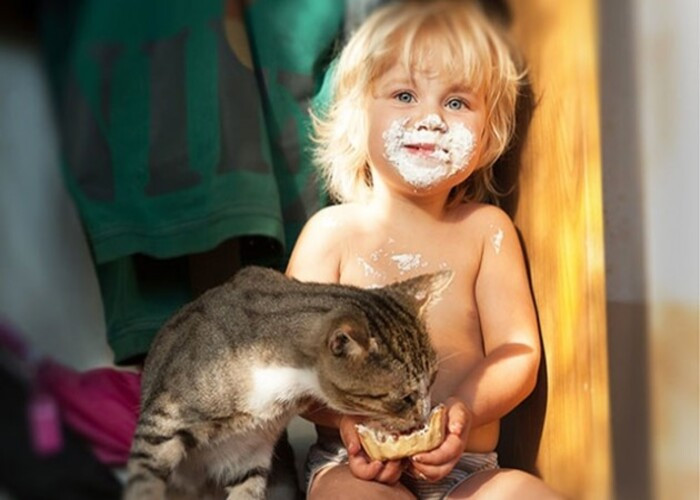 Kedi ve Çocuk Yemek Yerken