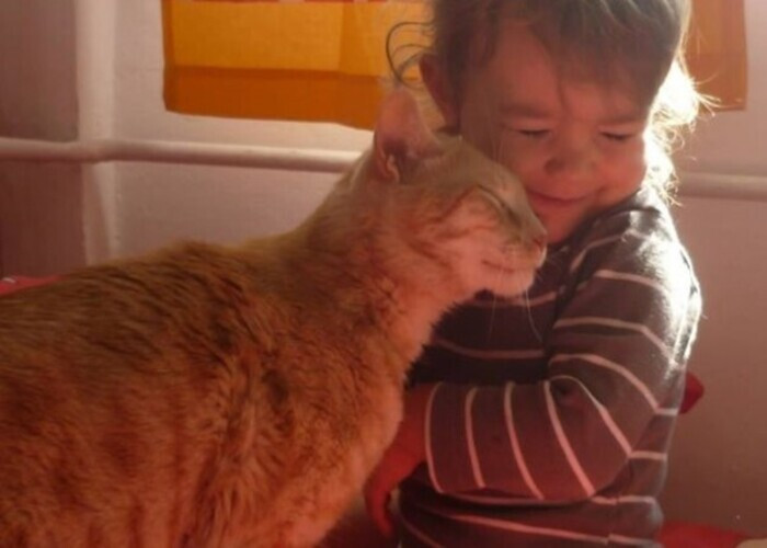 Kedi ve Çocuk Dostluğu