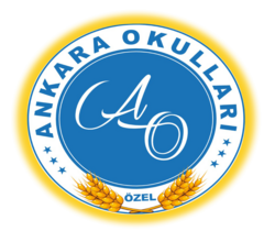 Ankara Okulları