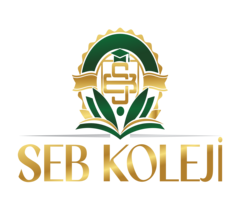 SEB Koleji