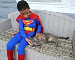 Sokak Kedilerini Besleyen 5 Yaşındaki Süper Kahraman