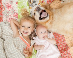 Evcil Hayvanların Çocuklara Sağladığı 5 Önemli Fayda