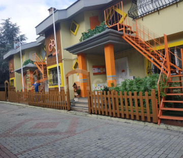 Genel Bakış