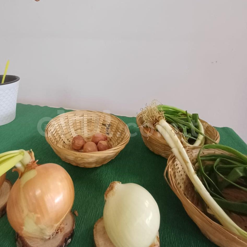 Özel Nar Anaokulu - 25