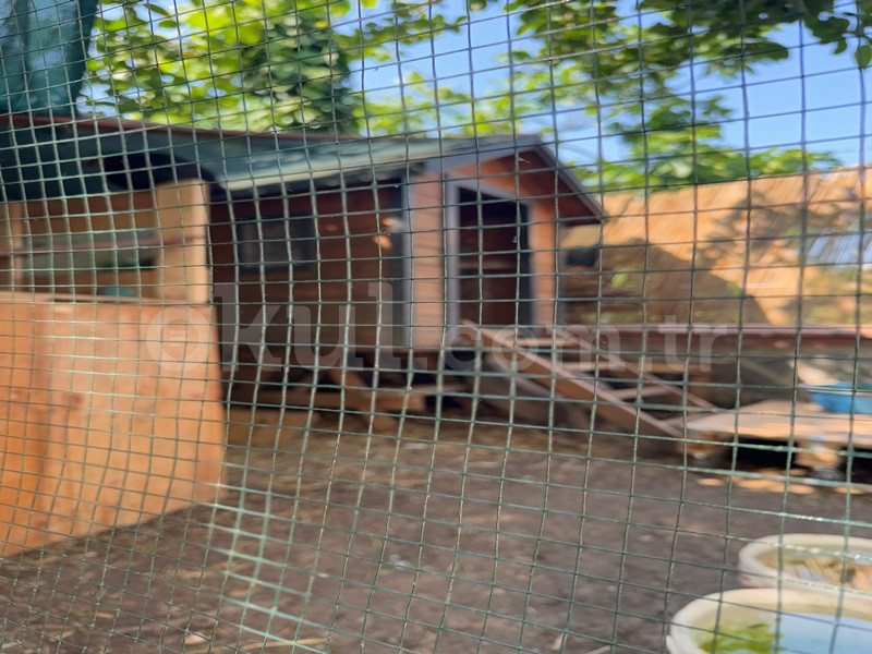 Özel Nihan İnci Anaokulu - 8