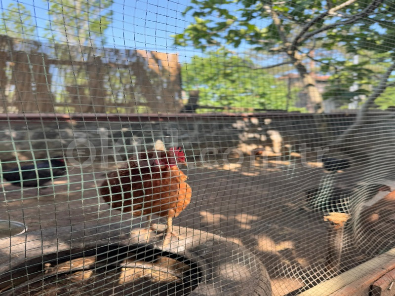 Özel Nihan İnci Anaokulu - 9