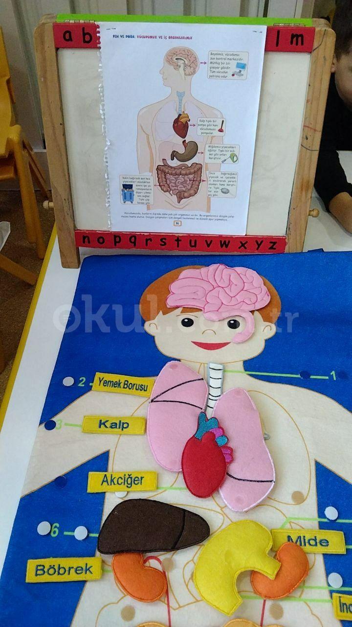 Özel Sihirli Dünya Anaokulu - 12