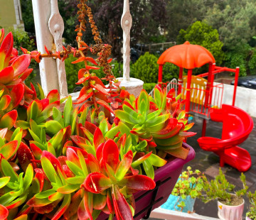 Özel Tabiat Anaokulu