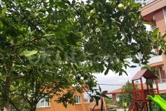 Özel Çengelköy Limon Ağacı Anaokulu - 10