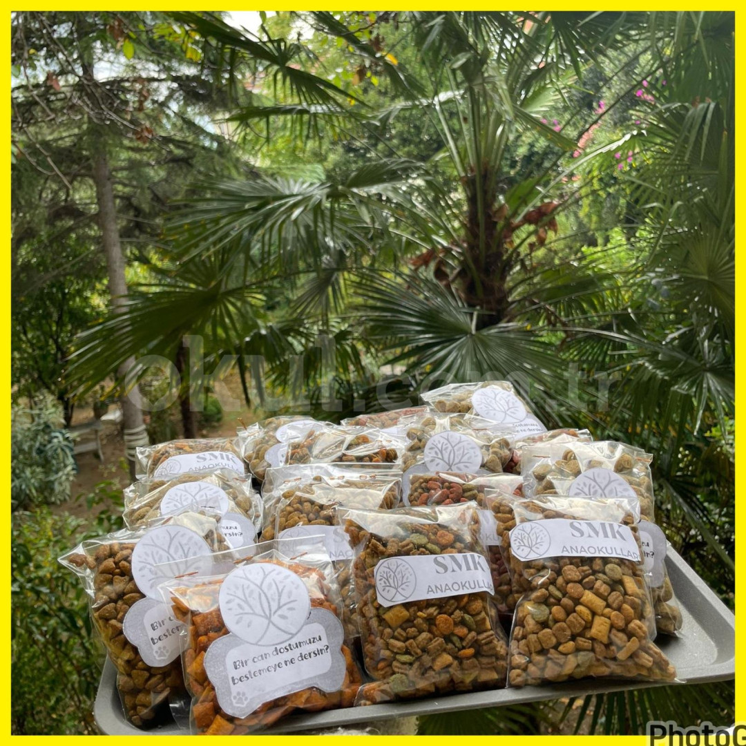 Özel Serap Minaz Kıratik SMK Anaokulu - 7