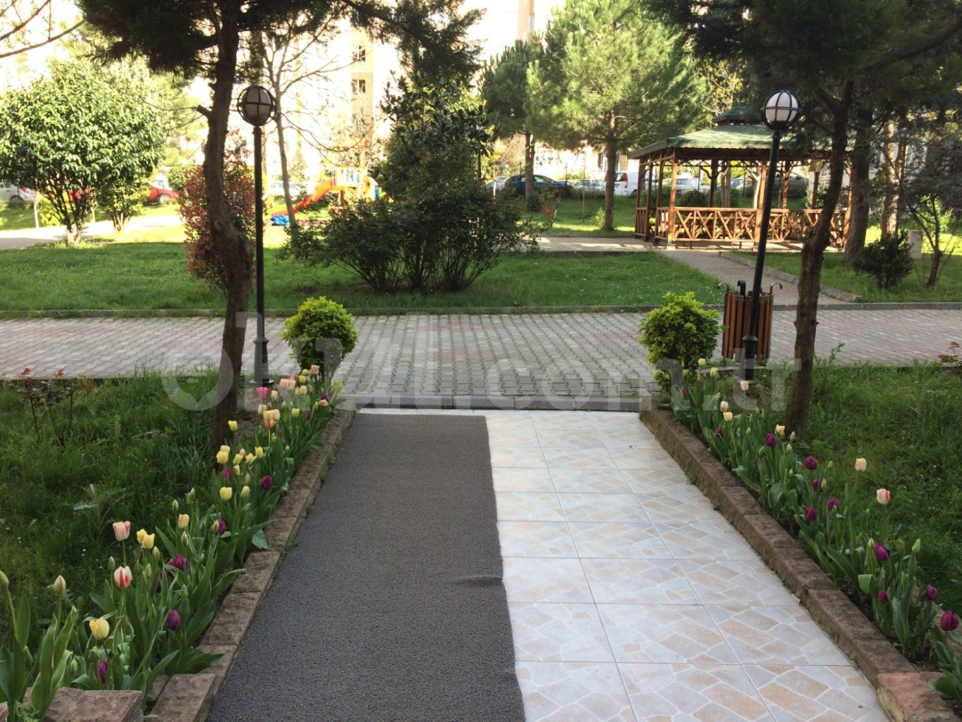 Özel Minik Balarısı Anaokulu - 3