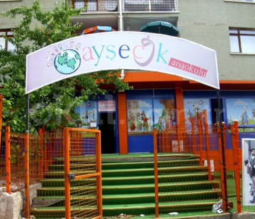 Genel Bakış