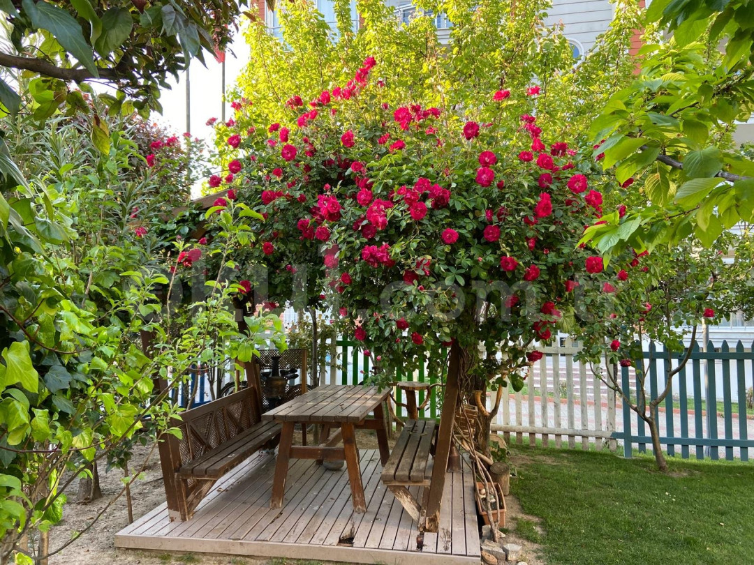 Özel Selin Evleri Parla Anaokulu - 7