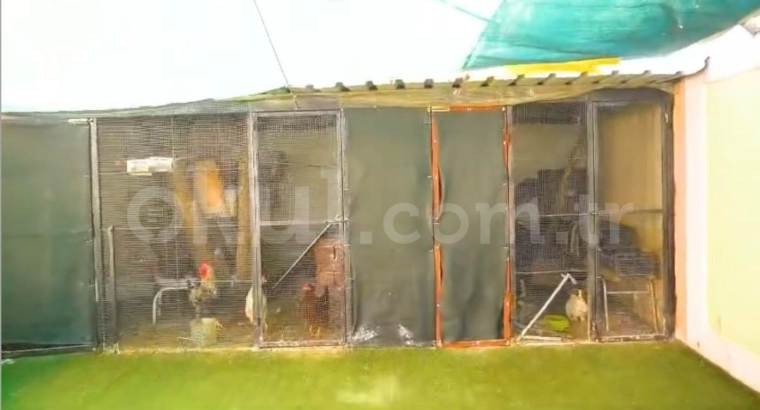 Özel Buca Ege İnciler Anaokulu - 7