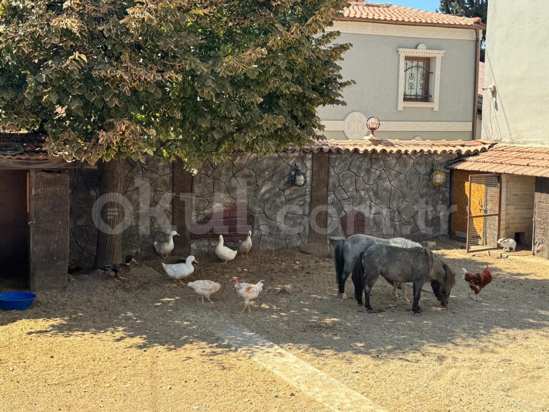Özel Şirin Köşk Anaokulu - 23