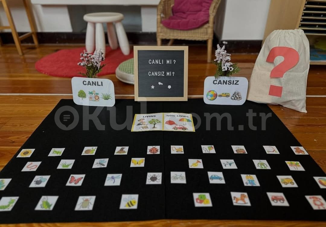 Özel Zekeriyaköy Yeni Çocuk Montessori Anaokulu - 4