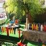 Özel Polen Montessori Anaokulu