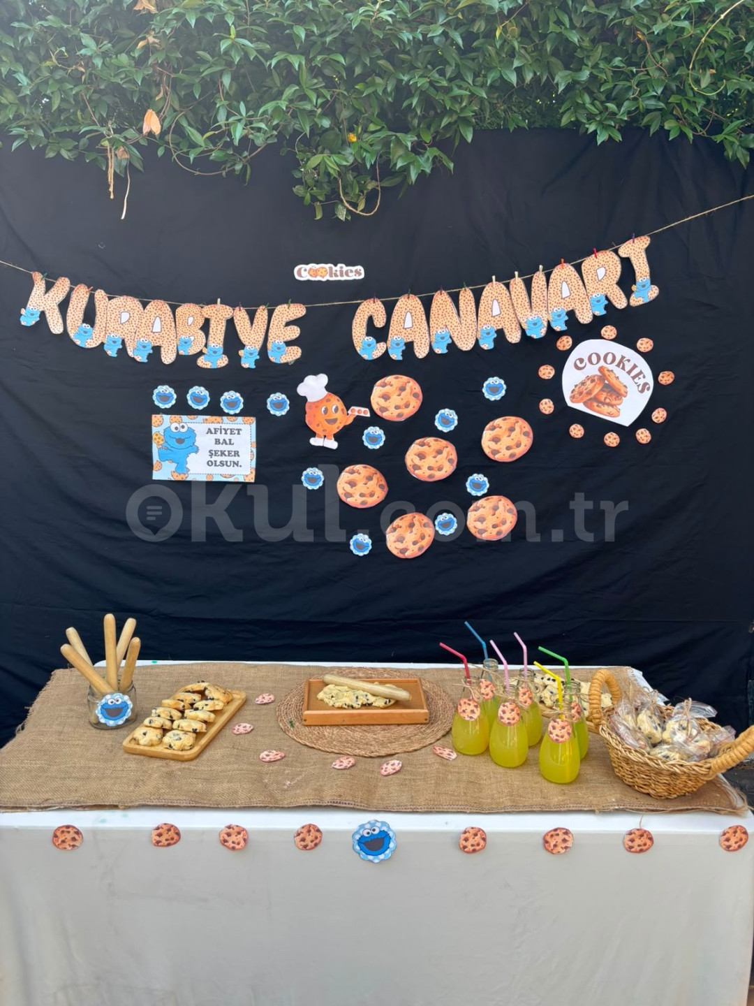 Özel Pembe Maviş Anaokulu - 17