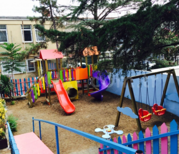 Genel Bakış