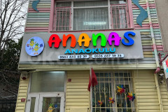 Özel Ananas Anaokulu