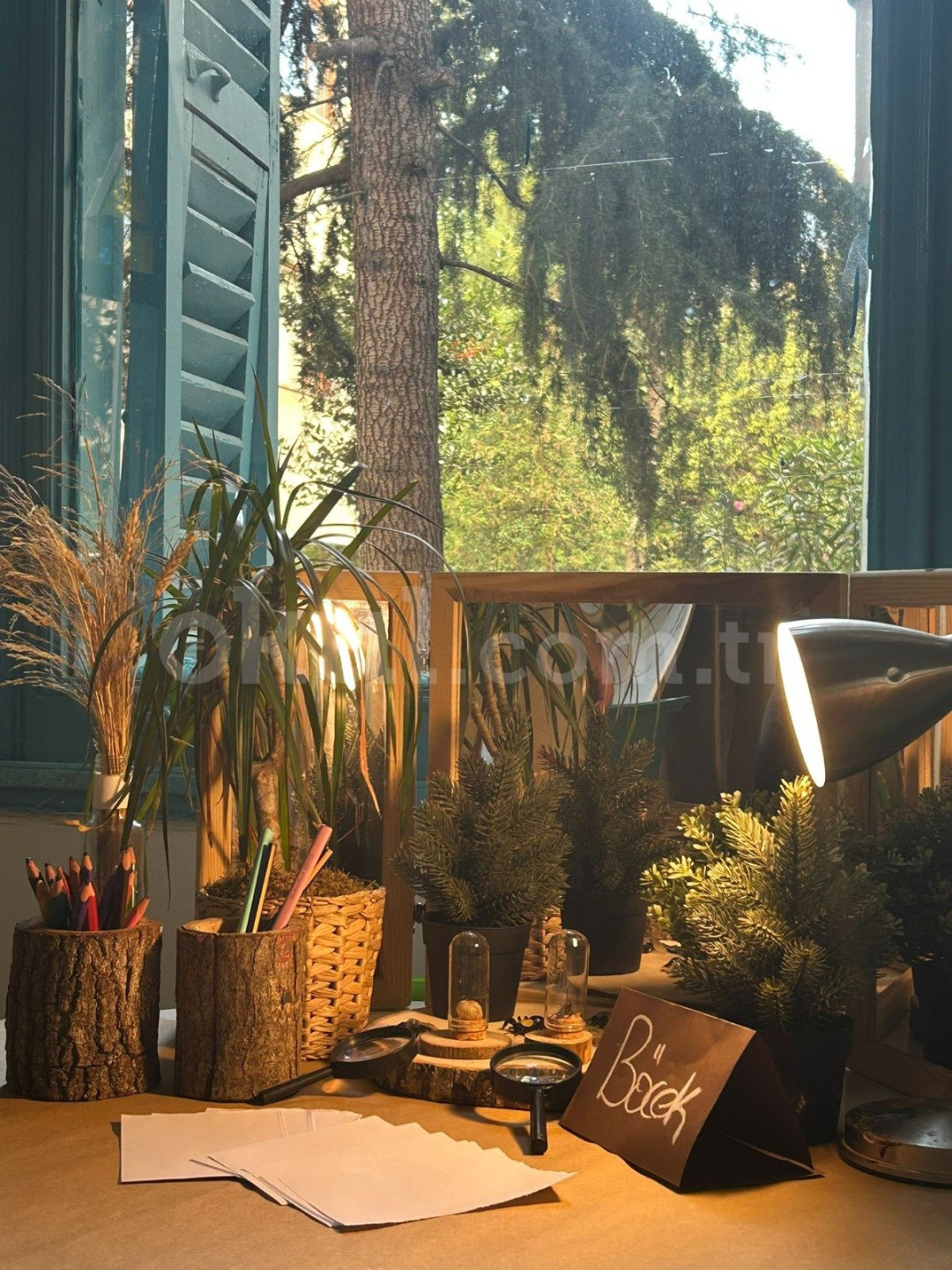 Özel Erenköşk Anaokulu - 25