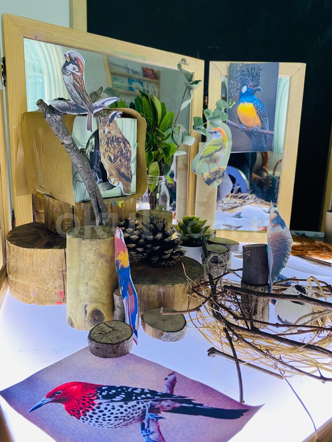 Özel Erenköşk Anaokulu - 22