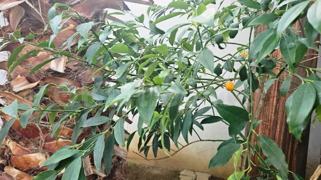 Özel Gözdem Burhaniye Anaokulu - 4