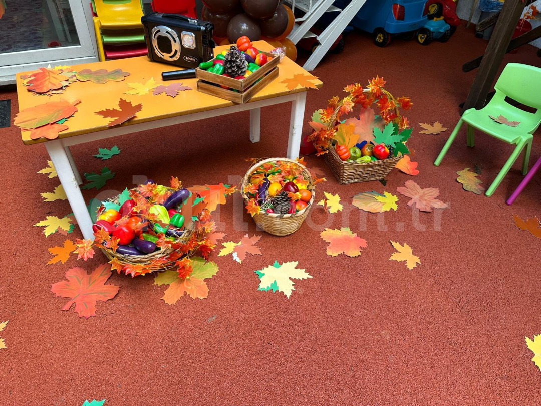 Özel Altın Balık Çocuk Evi - 13