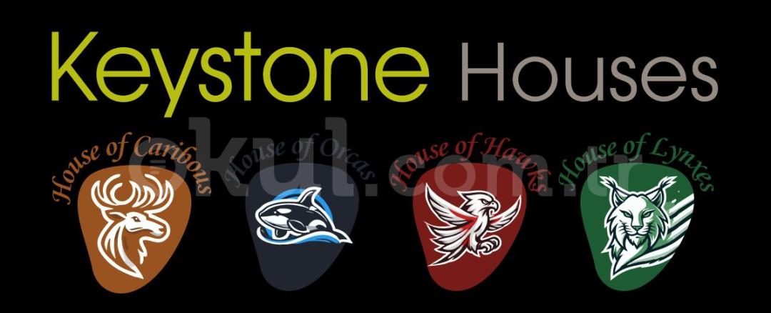 Özel Kilittaşı İlkokulu - 6