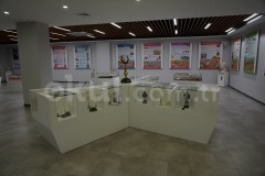 Özel Bahçeşehir Vega Okulları Anadolu Lisesi - 11