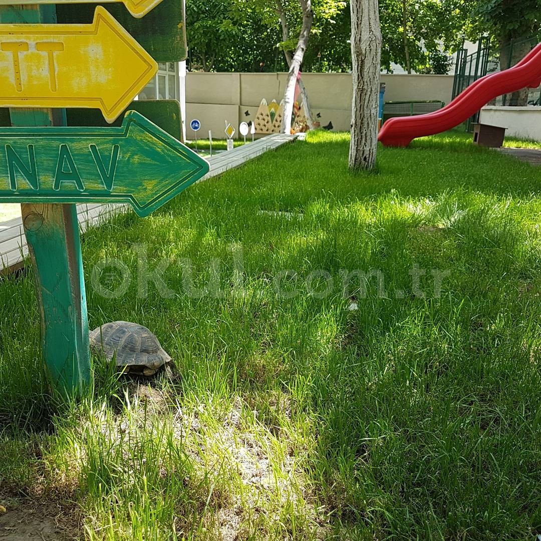 Özel Göztepe Çilek Ağacı Anaokulu - 24