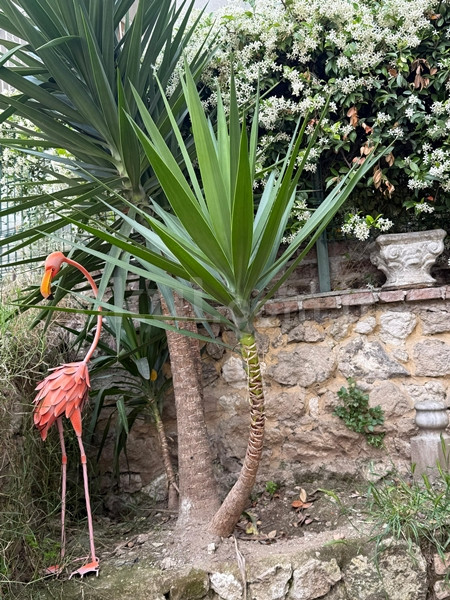 Özel Flora Anaokulu - 9