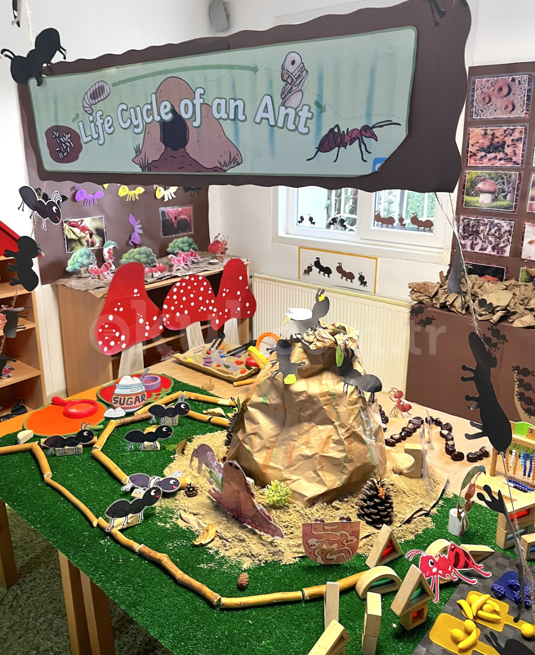 Özel Dragos Deha Çocuk Anaokulu - 24