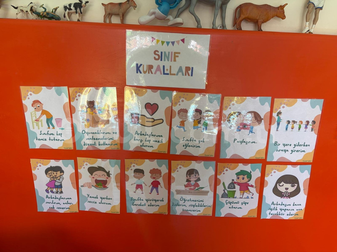 Özel Mavi Şapka Montessori Anaokulu - 27