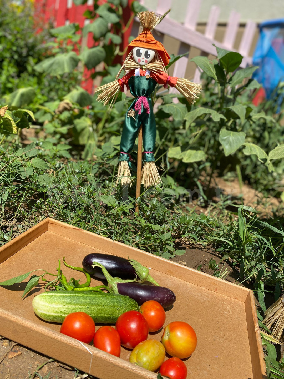 Özel Ödül Anaokulu - 37