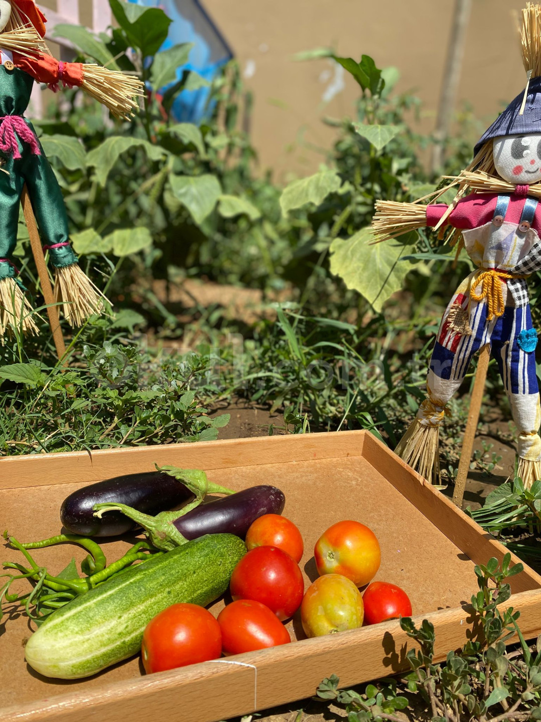 Özel Ödül Anaokulu - 38