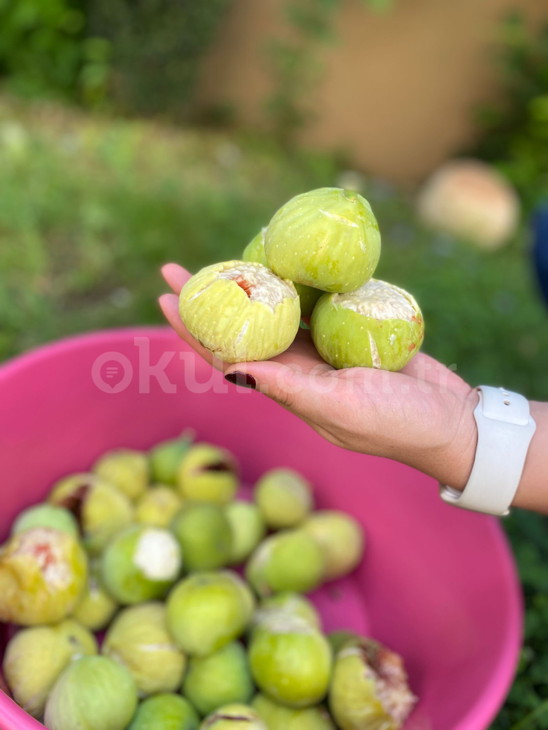 Özel Ödül Anaokulu - 40