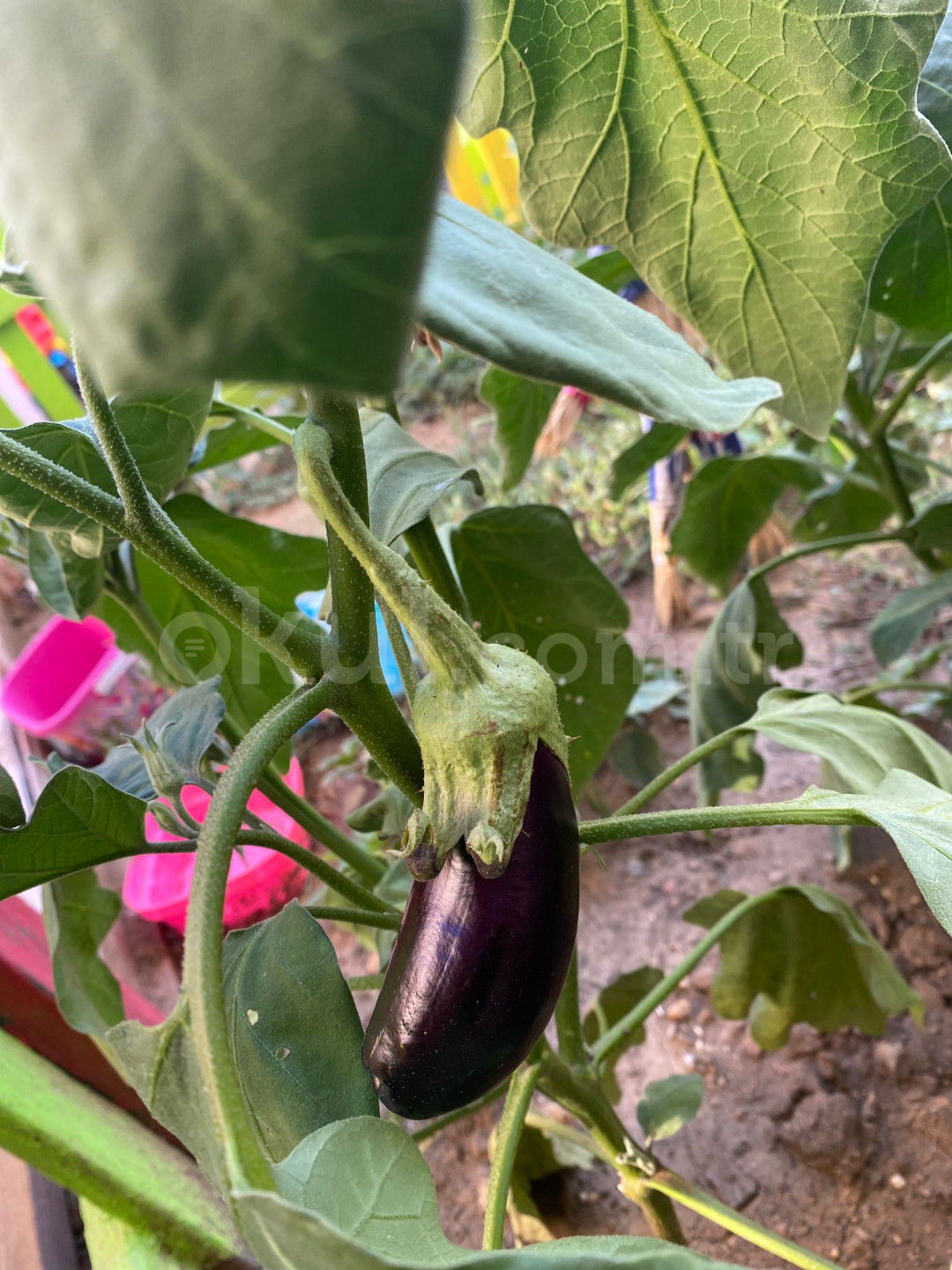 Özel Ödül Anaokulu - 41