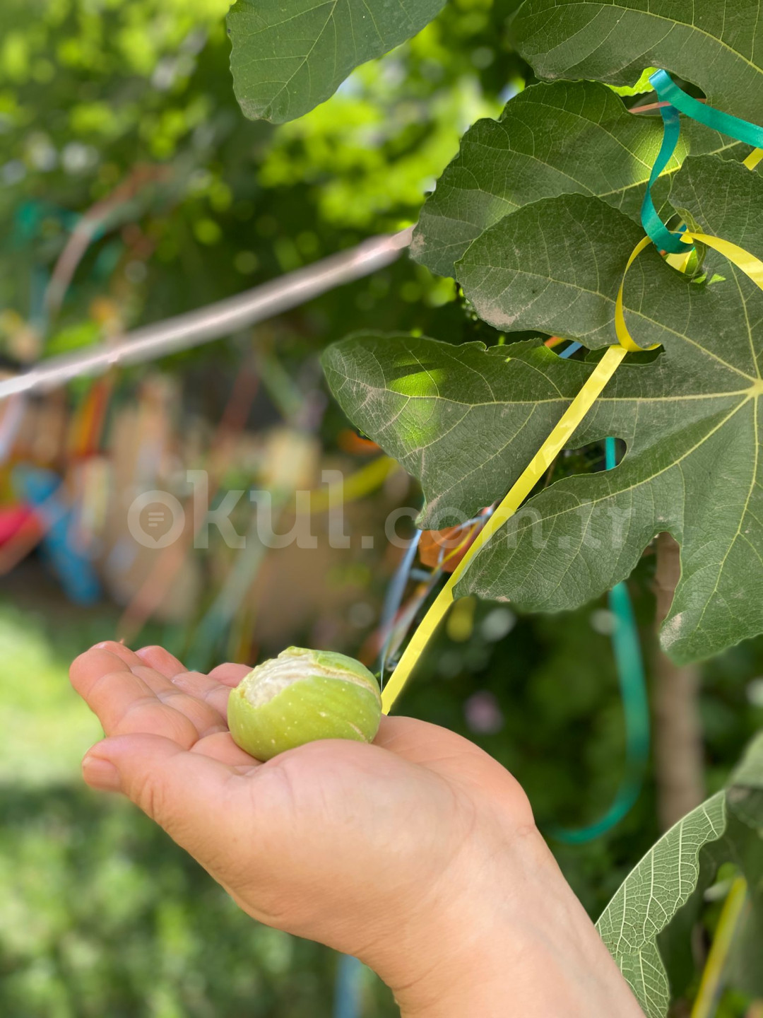 Özel Ödül Anaokulu - 39