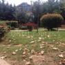 Özel Kozyatağı Yeni Mevsim Anaokulu