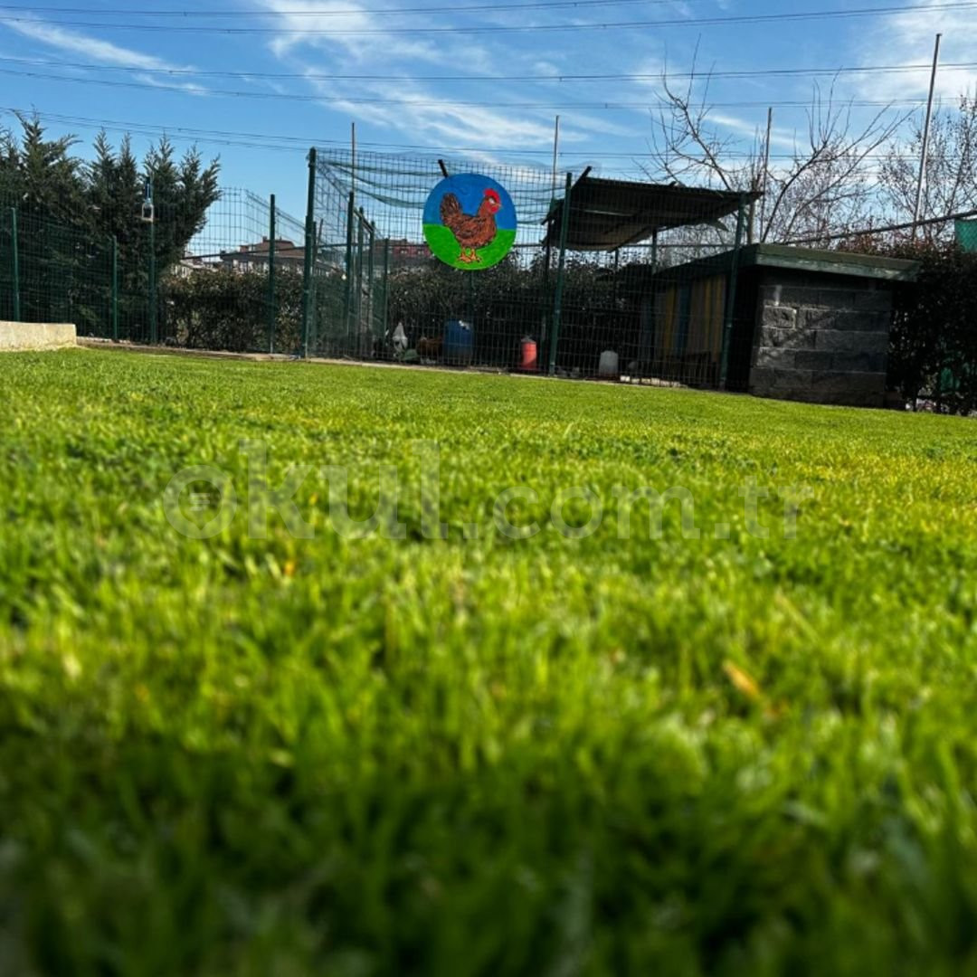 Özel Sancaktepe Yönder Okulları Ortaokulu - 12