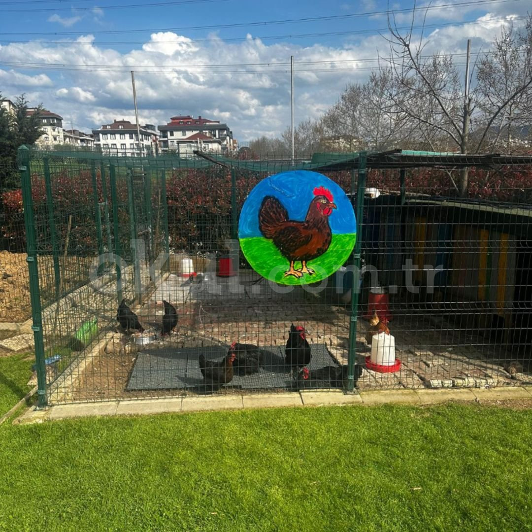 Özel Sancaktepe Yönder Okulları Ortaokulu - 11