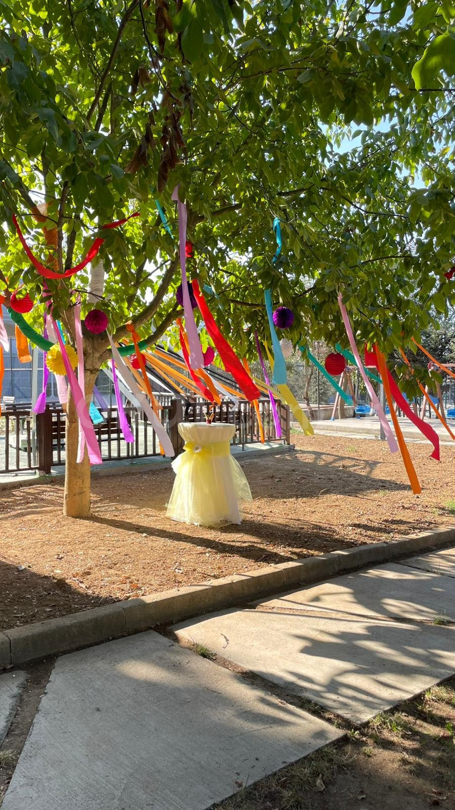 Özel Kayaşehir Petek Koleji İlkokulu - 13