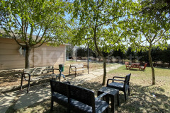 Özel Kayaşehir Petek Koleji Ortaokulu